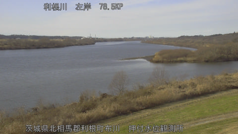 tonos2025123113_image