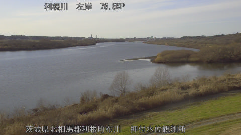 tonos2025123115_image