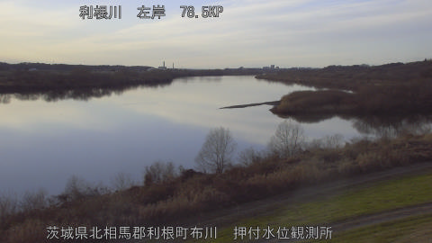 tonos2025123116_image