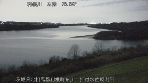 tonos2026010101_image