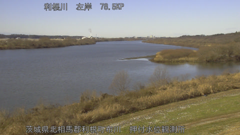 tonos2026010311_image