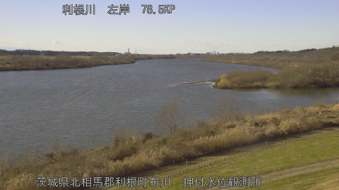 tonos2026010314_image