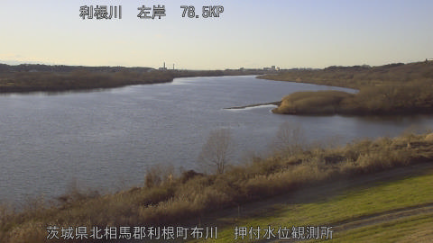 tonos2026010316_image