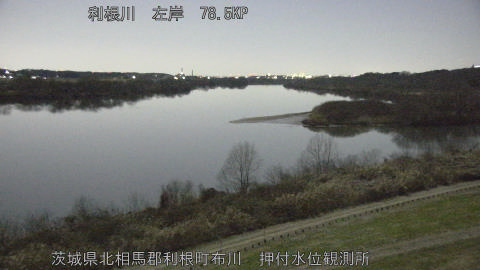 tonos2026010403_image