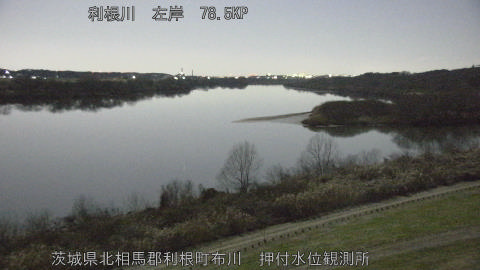 tonos2026010404_image