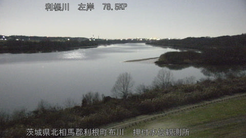 tonos2026010405_image