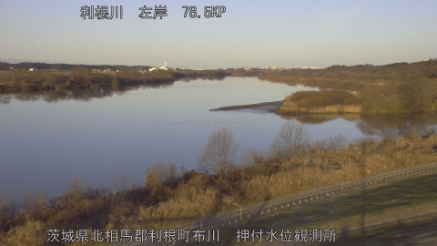 tonos2026010408_image