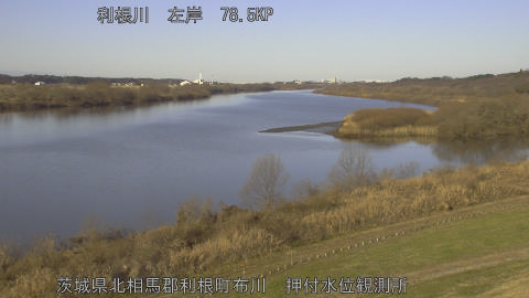 tonos2026010409_image