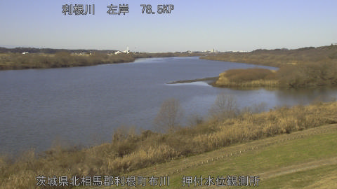 tonos2026010410_image