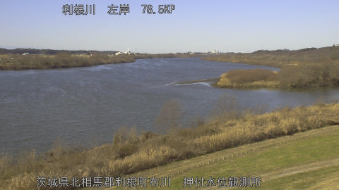 tonos2026010411_image