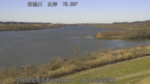 tonos2026010412_image