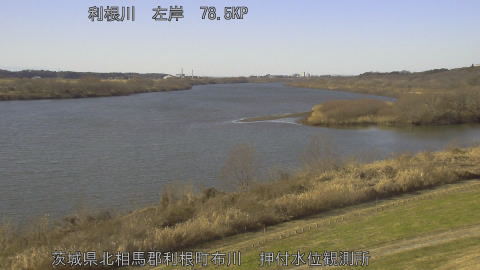 tonos2026010413_image