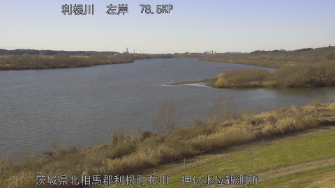 tonos2026010414_image