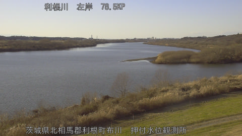 tonos2026010415_image