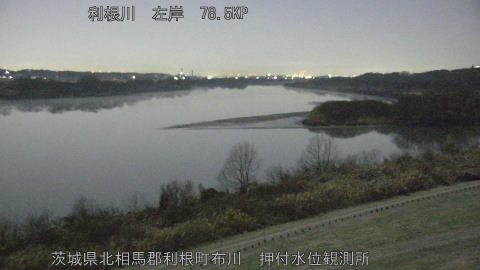 tonos2026010503_image