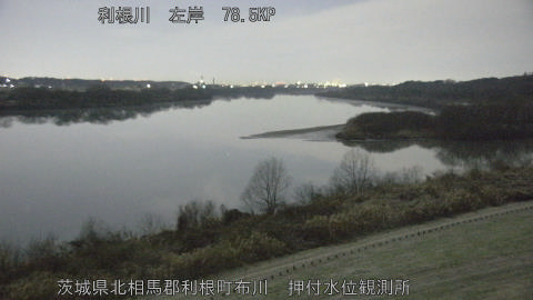 tonos2026010504_image