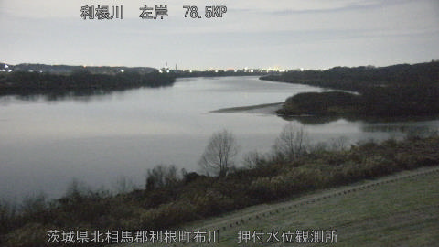 tonos2026010505_image