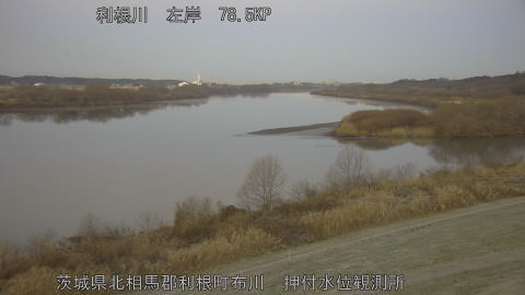 tonos2026010507_image