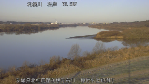 tonos2026010508_image