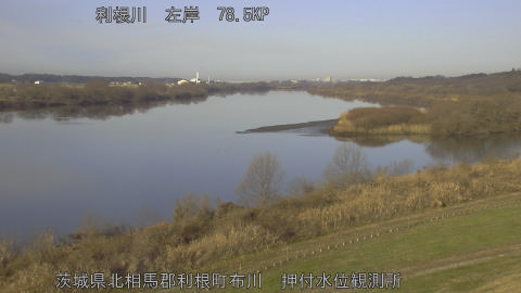 tonos2026010509_image