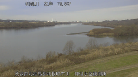 tonos2026010510_image