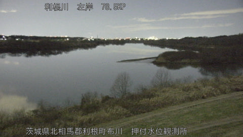 tonos2026010601_image