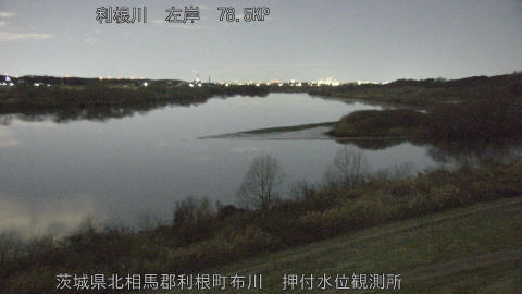 tonos2026010603_image