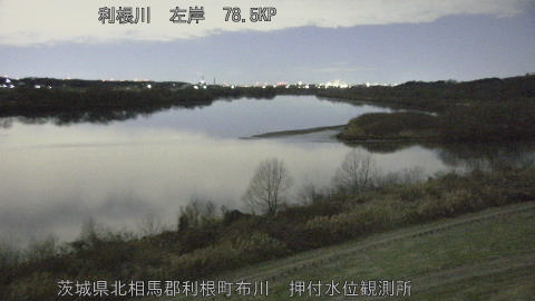 tonos2026010604_image