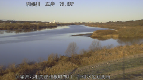 tonos2026010608_image