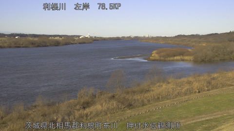 tonos2026010609_image