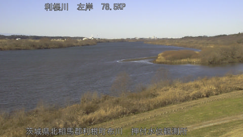 tonos2026010610_image