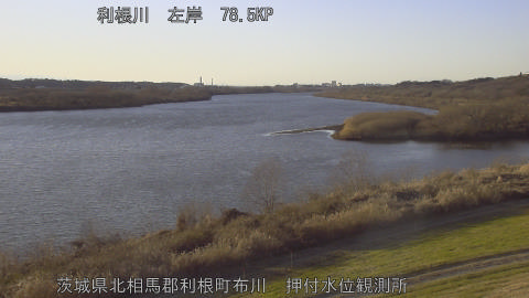 tonos2026010616_image