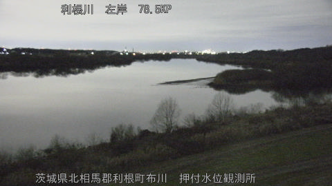 tonos2026010702_image