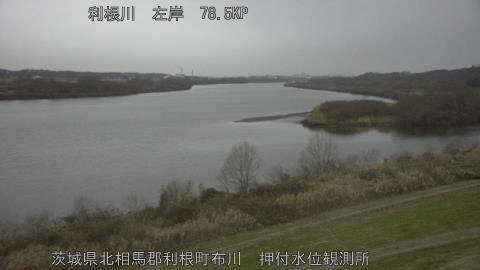 tonos2026010707_image