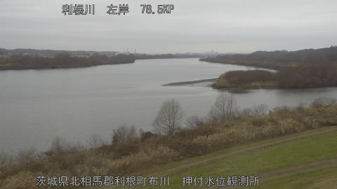 tonos2026010709_image