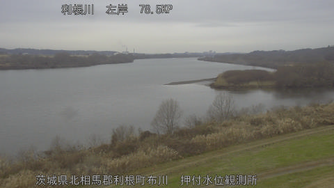 tonos2026010711_image