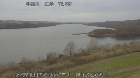 tonos2026010713_image