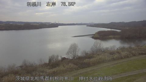 tonos2026010717_image