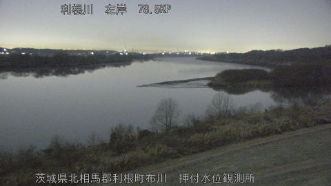 tonos2026010803_image