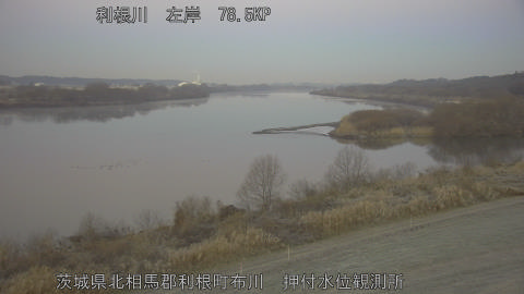 tonos2026010807_image