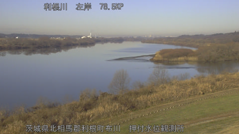 tonos2026010809_image