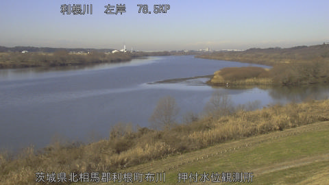 tonos2026010810_image