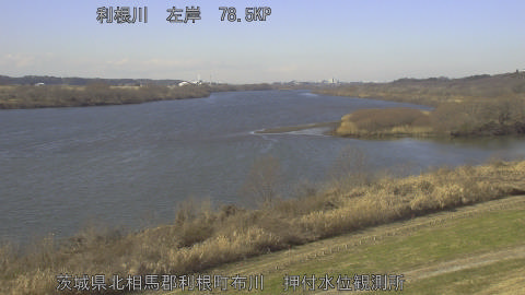 tonos2026010812_image