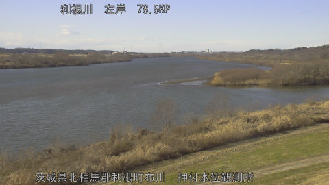 tonos2026010813_image