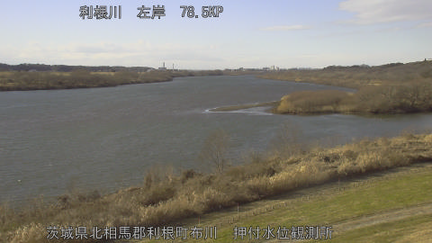 tonos2026010814_image