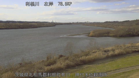 tonos2026010815_image