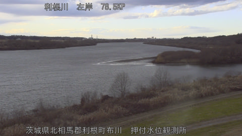 tonos2026010816_image