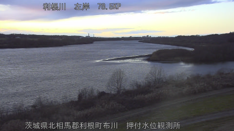 tonos2026010817_image