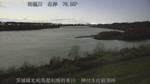 tonos2026010818_image