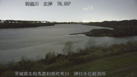 tonos2026010819_image